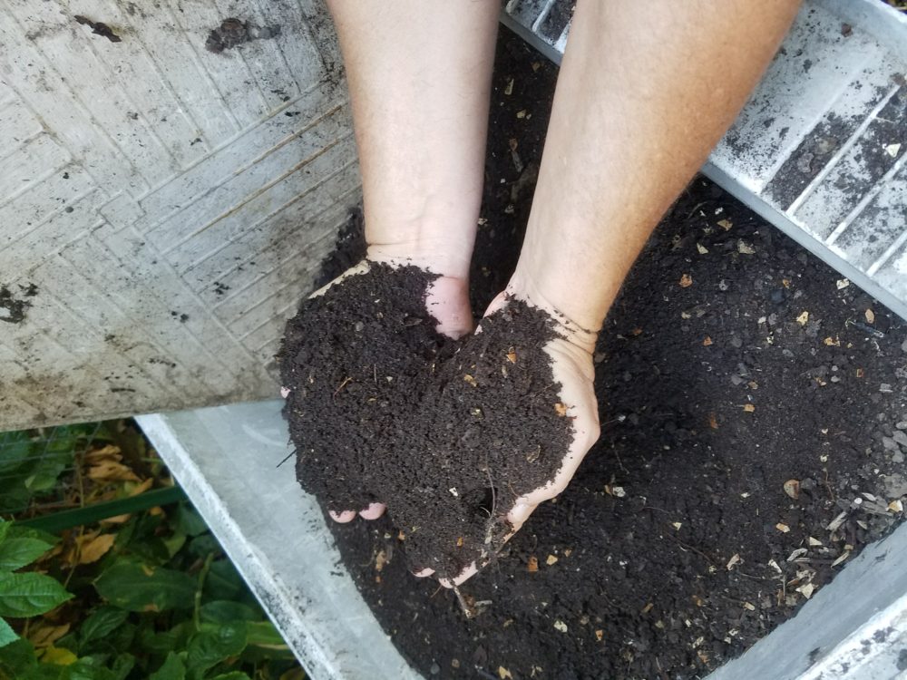 Santa Barbara, Dave's Organic Gardening, Fresh-healthy-compost